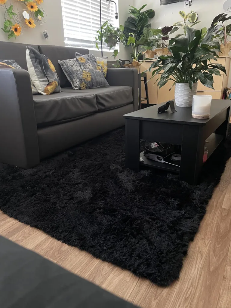 The Lazy Girl’s Easy Guide to a Tidy Home - Super Soft Shaggy Rugs Fluffy Carpet