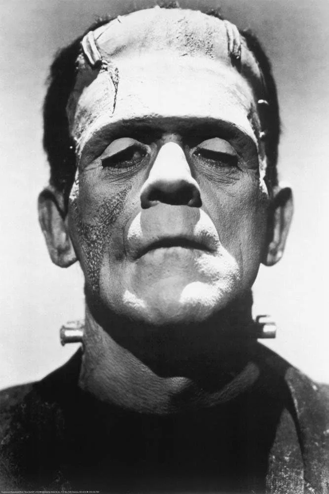 Amazon Frankenstein Wall Art- Stunning Halloween Grandin Road Dupes You Can Actually Afford