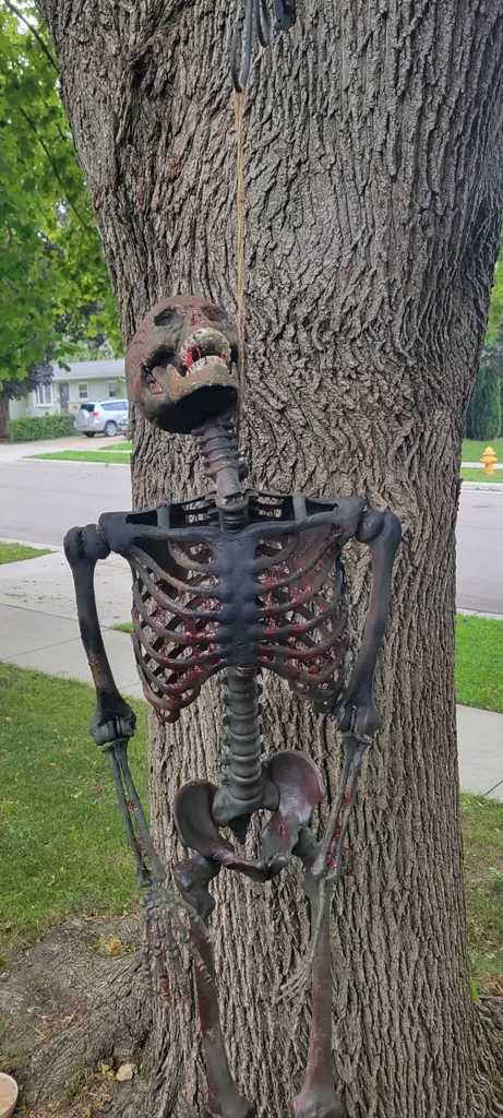 Spooky Skeleton Decor Ideas For A Creepy Home Display - Beautiful Ways to Use Skeletons in Your Halloween Decor