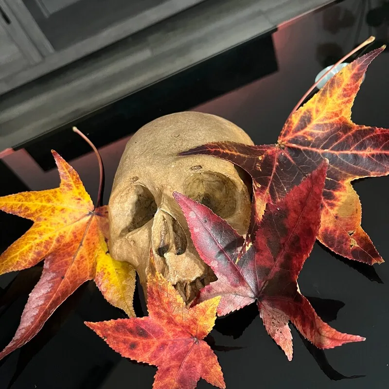 Beautiful Ways to Use Skeletons in Your Halloween Decor