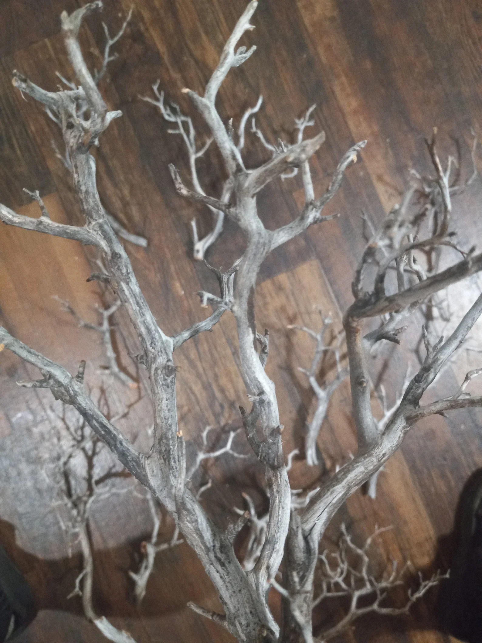 Easy Ways to Make Your Porch Feel Like Fall - A close-up of decorative white branches with a frosted, weathered finish, creating a natural, sculptural accent for autumn or winter interior decor.