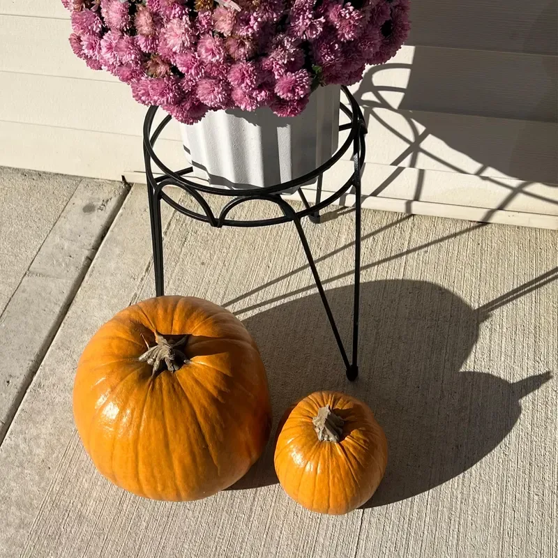 Easy Ways to Make Your Porch Feel Like Fall - Rustic Halloween Pumpkin Display: A collection of orange, white, and golden pumpkins, including playful jack-o’-lanterns, arranged beside a rustic wooden wagon wheel and neutral woven textures for a charming Halloween porch.